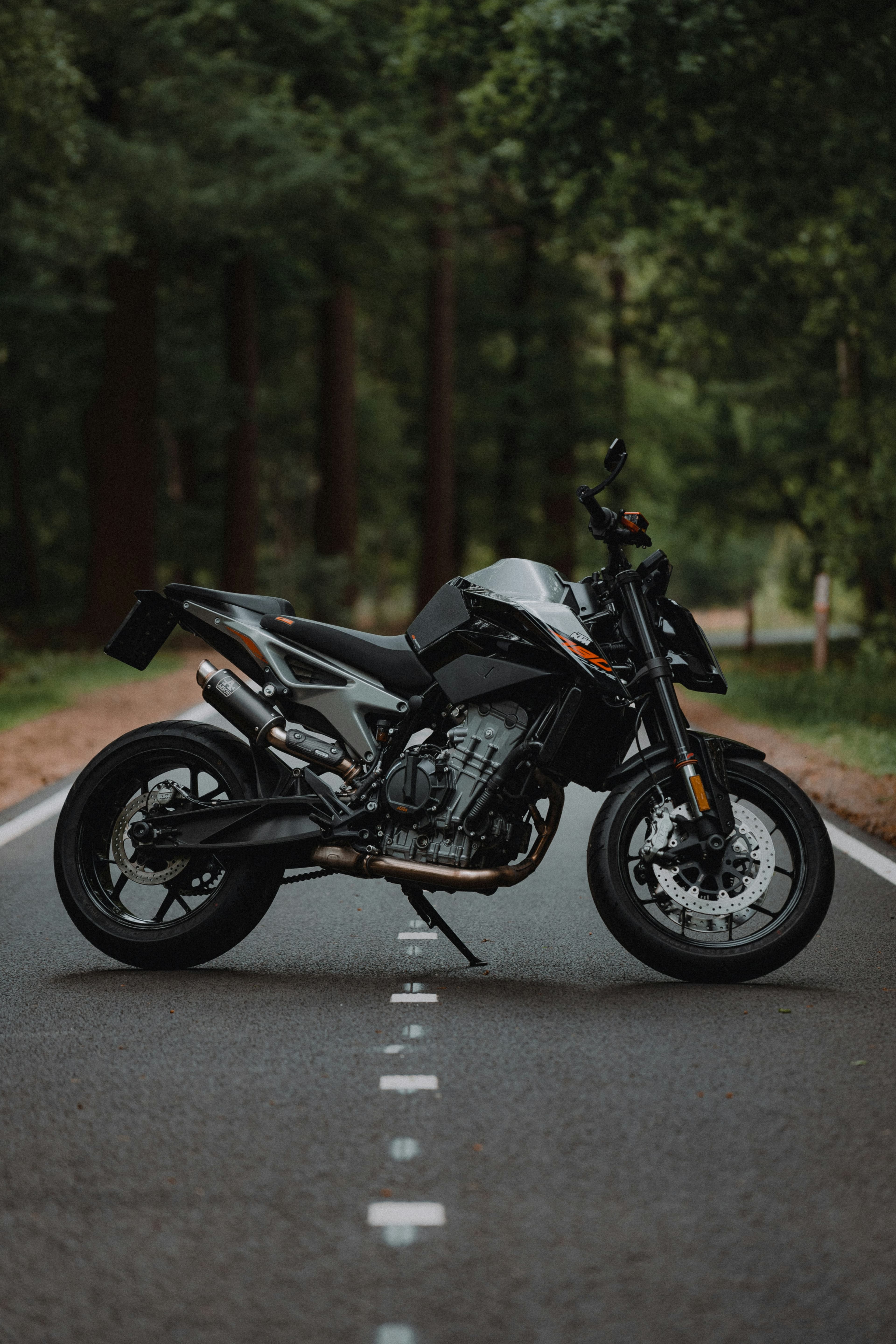 A motorcycle parked on an empty road running through pine forest